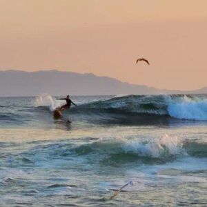 Meet your Posher, Gina